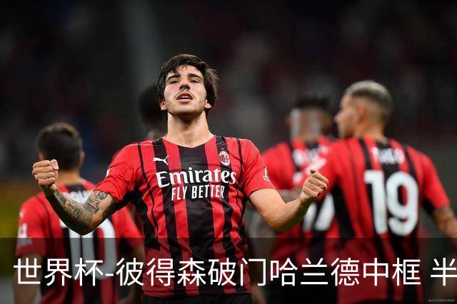 世界杯-彼得森破门哈兰德中框 半场挪威1-0塞内加尔