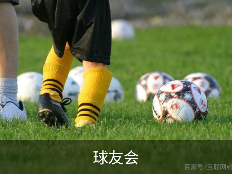 球友会介绍